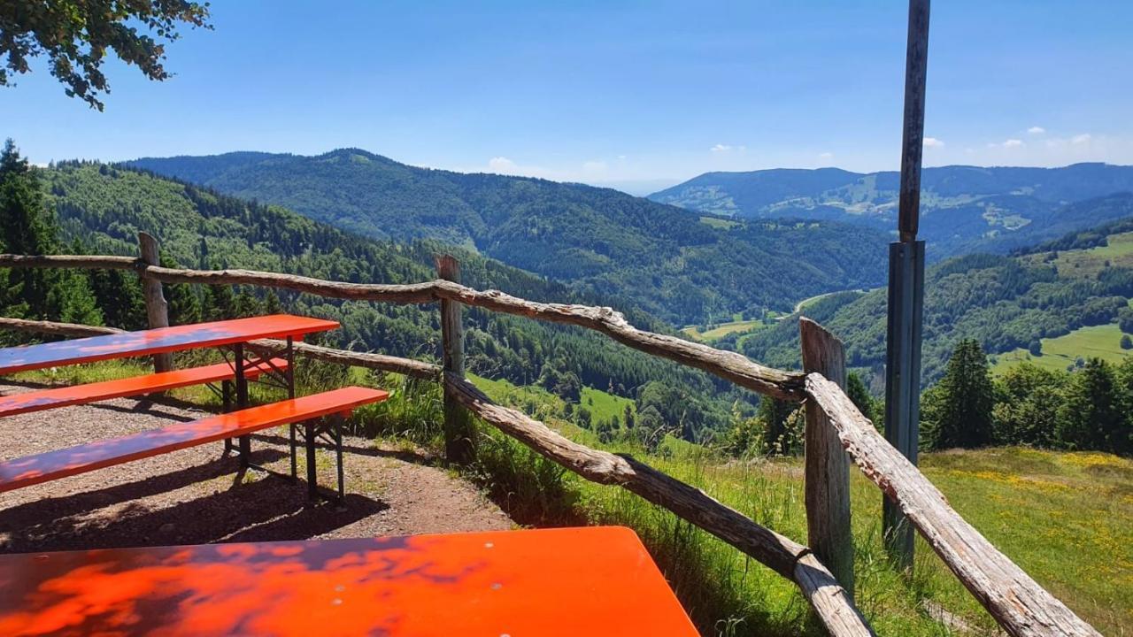 Süsse Ferienwohnung, schöne Umgebung, tolles Wandergebiet Todtnau Exterior foto